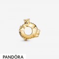 Women's Pandora Shining Tiger Charm Jewelry