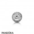 Pandora Essence Generosity Charm Jewelry