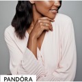 Women's Pandora Exotic Stones & Stripes Ring Pandora Shine Cz Jewelry
