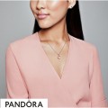 Women's Pandora Matte Brilliance Heart Pendant Pandora Rose Jewelry