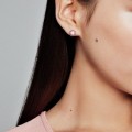 Pandora Rose Heraldic Radiance Earring Studs Jewelry