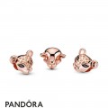 Pandora Rose Enamel Black Cubic Zirconia Sparkling Lion Princess Charm Jewelry