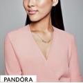 Pandora Shine Flower Stem Necklace Jewelry