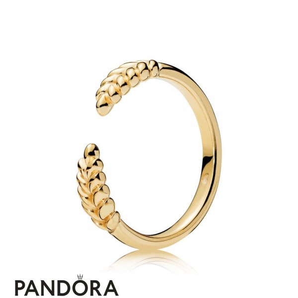 Pandora Shine Open Grains Ring Jewelry